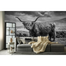 Een zwart-wit fotobehang met een Schotse hooglander in een berglandschap, ideaal voor een woonkamer.
