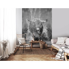 Een zwart-wit fotobehang met een Schotse hooglander op een rustige heide, ideaal voor een woonkamer.