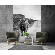 Een zwart-wit fotobehang met een Schotse hooglander op een landelijke weg, ideaal voor een huiskamer.