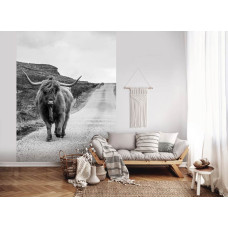 Een smal zwart-wit fotobehang met een Schotse hooglander op een landelijke weg, perfect voor een woonkamer.