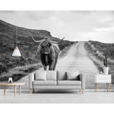 Een zwart-wit fotobehang met een Schotse hooglander op een rustige weg, geschikt voor een woonkamer.