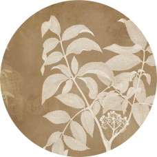 Botanische takken met bloesem op een retro geïnspireerde muurcirkel.
