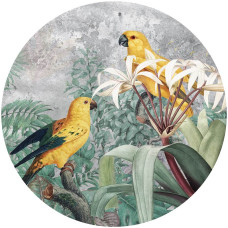Kleurrijke papegaaien in de jungle, levendig afgebeeld op een exotische behangcirkel.