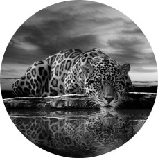 Luipaard, panter en cheetah in zwart-wit afgebeeld op een stijlvolle behangcirkel.