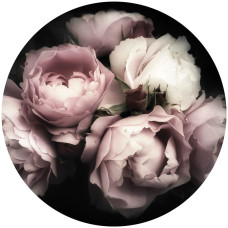 Roze en witte pioenrozen in volle bloei, gedetailleerd weergegeven op een behangcirkel met levensechte accenten.