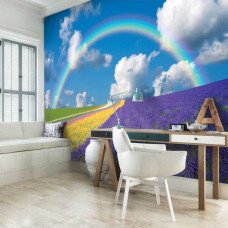 Een fotobehang van een bloemenveld onder een regenboog, dat een kleurrijke en levendige sfeer geeft.