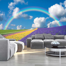 Een fotobehang van een bloemenveld onder een regenboog, dat een kleurrijke en levendige sfeer geeft. Perfect voor de woonkamer om een frisse en levendige uitstraling te creėren.