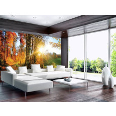 Een fotobehang van een bos met bomen bij zonsondergang te zien in de woonkamer.