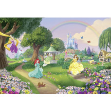 Disney prinsessen fotobehang met een regenboog op de achtergrond, speciaal ontworpen voor een meisjeskamer.