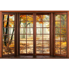Fotobehang van een 3D raamzicht op een herfstbos, met warme herfstkleuren.