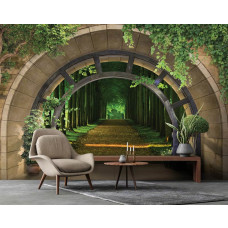 Een fotobehang met een 3D-uitzicht op een pad door het bos met bomen, ideaal voor een woonkamer.