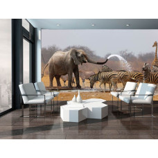 Een fotobehang van Afrikaanse dieren zoals olifanten en zebra’s, ideaal voor een woonkamer.