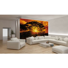 Een fotobehang van een zonsondergang in Afrika met wilde dieren en een serene uitstraling.