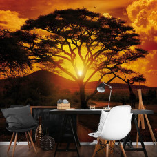 Een fotobehang van een Afrikaanse zonsondergang met dieren in een eetkamer.