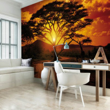 Een fotobehang van een Afrikaans landschap met dieren bij zonsondergang in een kantoor.
