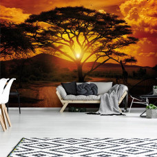 Een fotobehang van een Afrikaanse zonsondergang met silhouetten van dieren in een woonkamer.