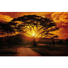 Afrika zonsondergang fotobehang, met wilde dieren en een adembenemend landschap, perfect voor natuurliefhebbers.