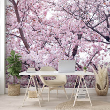 Een fotobehang met appelbloesem en bloemen te zien in een kantoor.