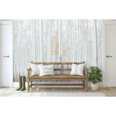 Een fotobehang van witte bomen in het Aspen Forest, een natuurlijke bosomgeving te zien in de huiskamer.