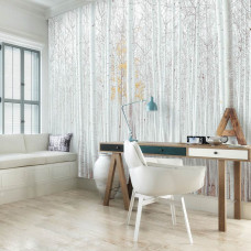 Een fotobehang van witte bomen in het Aspen Forest, een natuurlijke bosomgeving te zien in de woonkamer.