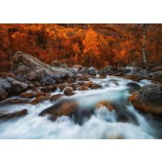 Fotobehang Autumn River. Fotobehang met een herfstlandschap van een rivier.