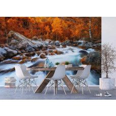 Fotobehang Autumn River. Fotobehang met een herfstlandschap van een rivier.