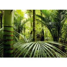 Een fotobehang van avontuurlijke jungle planten in een tropisch klimaat.