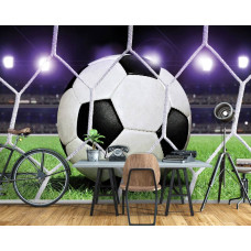 Een fotobehang van een doelpunt in een stadion met groen gras, ideaal voor een kantoor of kinderkamer.