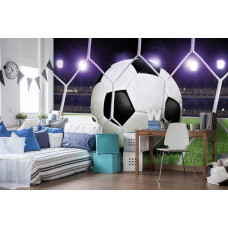 Een fotobehang met een voetbal in het doel, omringd door het stadion en grasveld, geschikt voor een kinderkamer.