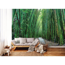 Een fotobehang met een bamboe jungle wandelpad voor de huiskamer.