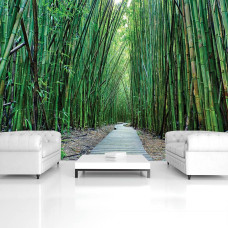 Een fotobehang met een bamboe jungle wandelpad voor de woonkamer.