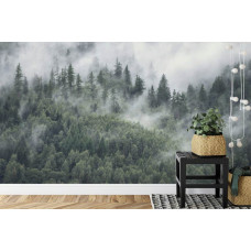 Een fotobehang met een bergbos gehuld in mist, vol hoge dennenbomen.