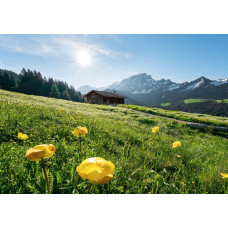 Alpen berglandschap fotobehang, met een majestueus uitzicht over de Alpen.