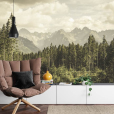 Een fotobehang met een prachtig beeld van uitgestrekte bergvalleien en bosranden, perfect voor een woonkamer.