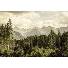 Fotobehang van bergvalleien en bosranden, met een prachtig landschap van groene heuvels en bergen.