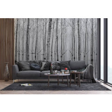 Een fotobehang van berkenbomen met een weerspiegeling in een bos, ideaal voor het creėren van een warme en natuurlijke sfeer in een huiskamer.