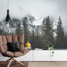 Een fotobehang met een panoramisch landschap van besneeuwde bergen en een bos, geschikt voor een huiskamer.