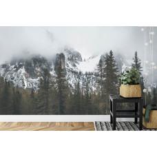 Een fotobehang met een schilderachtig uitzicht op besneeuwde bergen en een omliggend bos, ideaal voor een keuken.