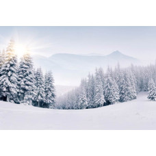 Fotobehang van een betoverend winterlandschap met besneeuwde bergen en bomen, en een helderblauwe lucht.