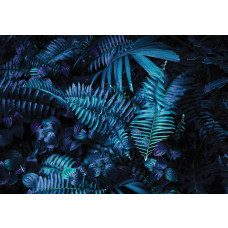 Fotobehang met groene bladeren in een jungle, fris en levendig.