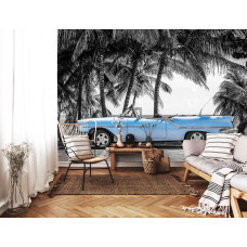 Fotobehang van een oude blauwe auto met palmbomen en de zee in Cuba, ideaal voor de woonkamer.