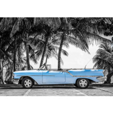 Oude blauwe auto geparkeerd aan een strand met palmbomen en helderblauwe zee in Cuba, fotobehang dat retro en tropische vibes combineert.
