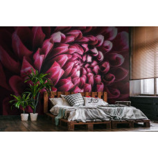Een close-up van een rode, roze en paarse bloem op fotobehang in een serene slaapkamer.