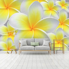 Een fotobehang met gele en witte bloemen, dat een natuurlijke sfeer toevoegt aan een woonkamer.