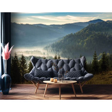 Een fotobehang met bomen in een mistig berglandschap, perfect voor een woonkamer.