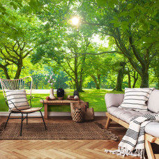 Een fotobehang met bomen in een zonnig park, perfect voor een woonkamer.