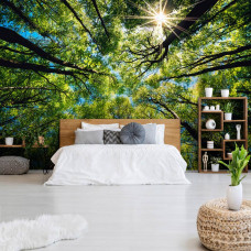 Een fotobehang van boomtoppen in de zon in naadloos behang voor een slaapkamer.