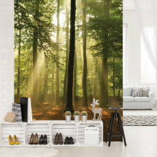 Een fotobehang met bomen en zonnestralen in een bos bij zonsopgang voor de huiskamer.