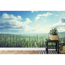 Een fotobehang met een serene weergave van een bergachtig boslandschap met subtiele wolken, perfect voor een slaapkamer.