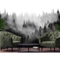 Een fotobehang van een mistig boslandschap in de natuur te zien in de woonkamer.